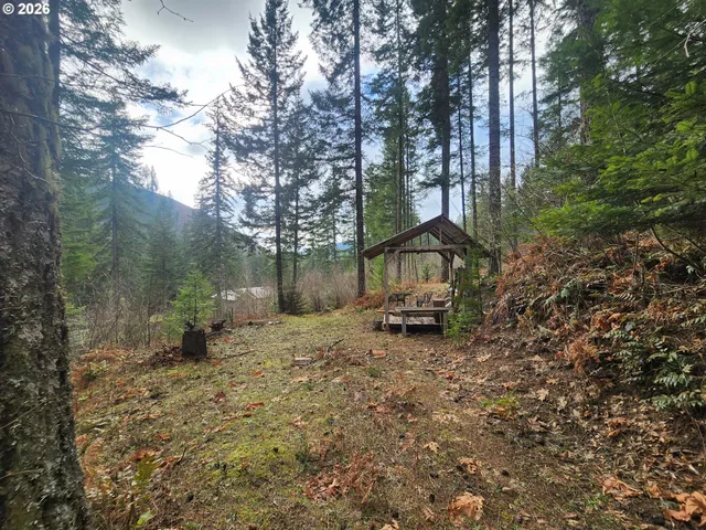 $149,000 | 1951 Bear Creek Road, Carson, WA 98610