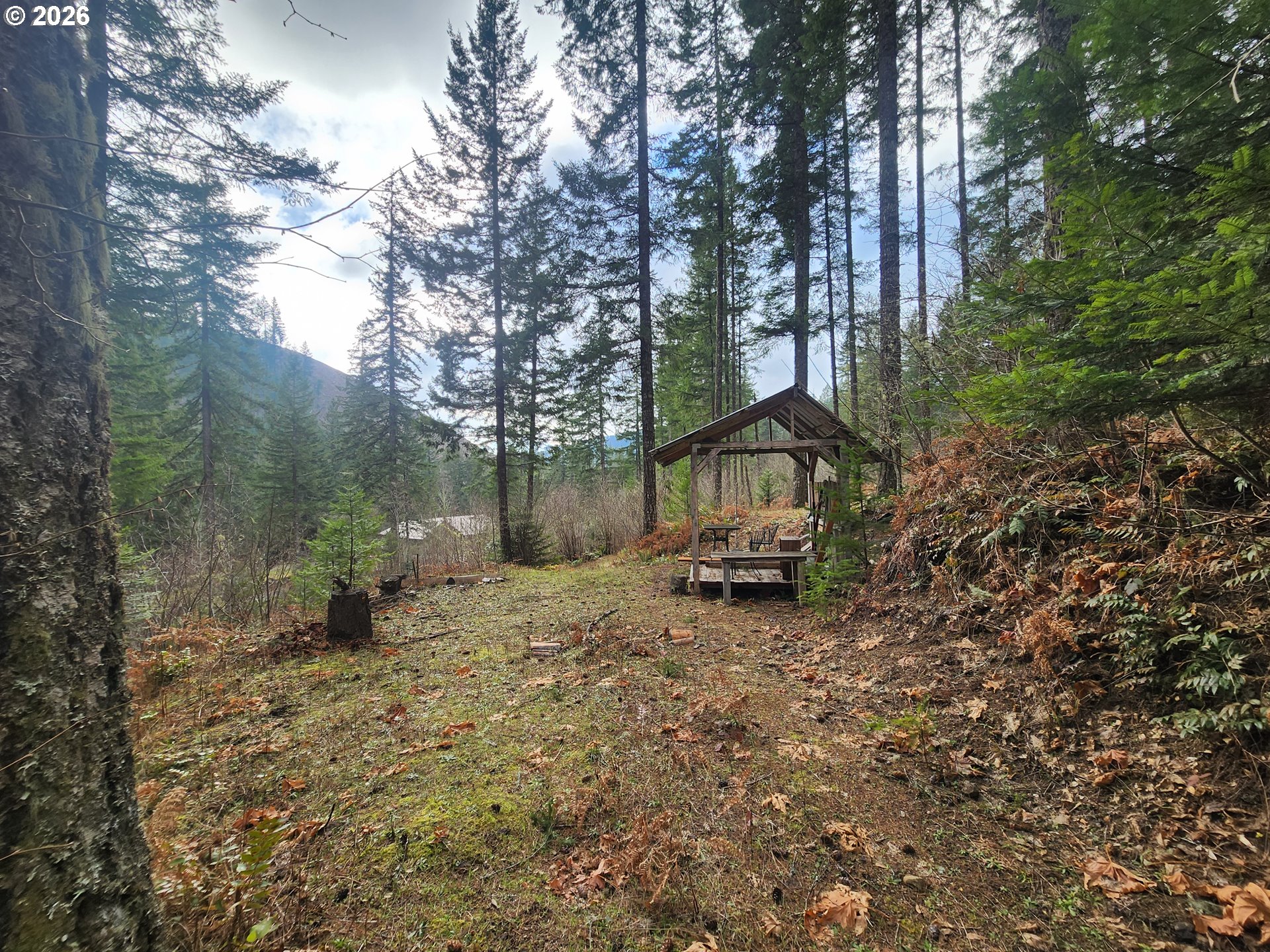 1951 Bear Creek Road Carson, WA 98610 - Photo 28 of 30