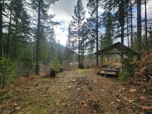 $149,000 | 1951 Bear Creek Road, Carson, WA 98610