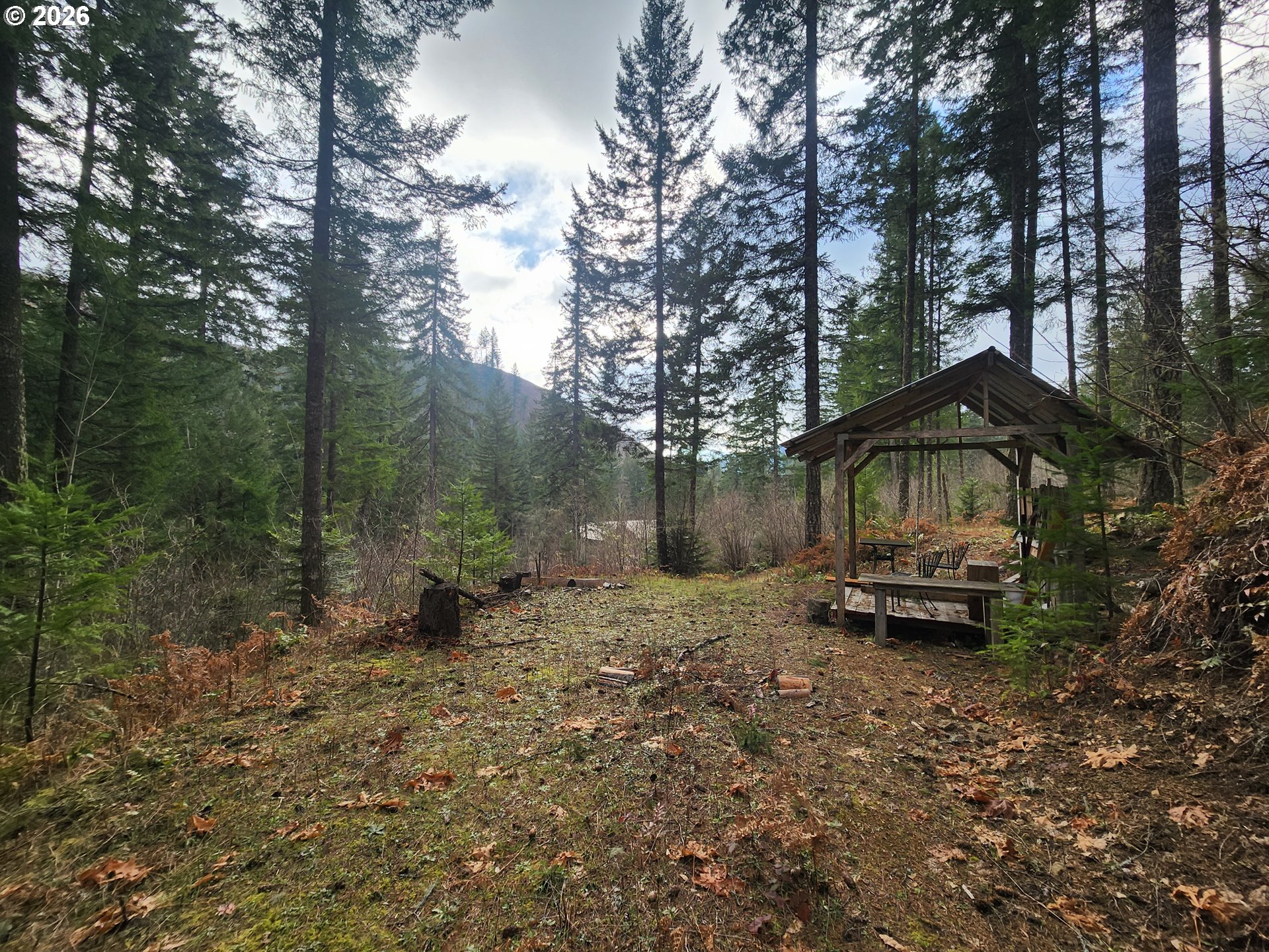 1951 Bear Creek Road Carson, WA 98610 - Photo 29 of 30