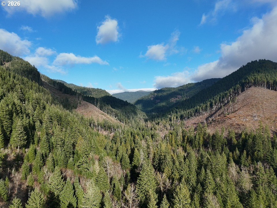 1951 Bear Creek Road Carson, WA 98610 - Photo 3 of 30