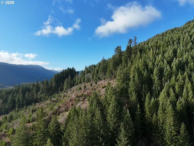 $149,000 | 1951 Bear Creek Road, Carson, WA 98610