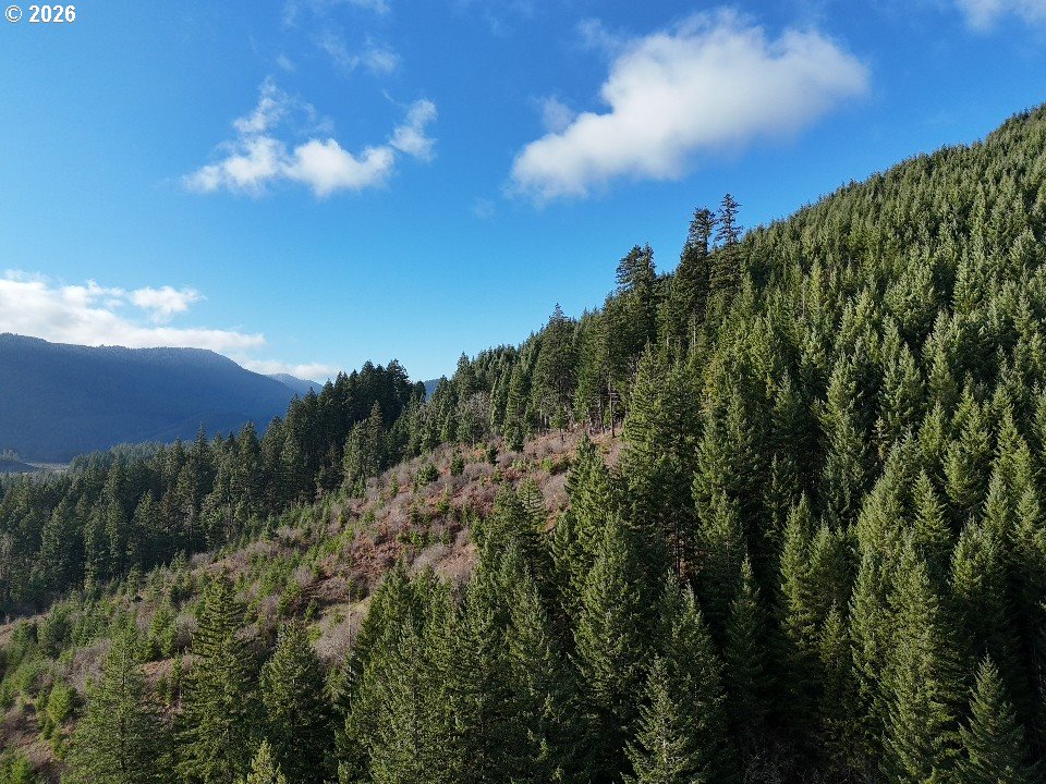 1951 Bear Creek Road Carson, WA 98610 - Photo 4 of 30