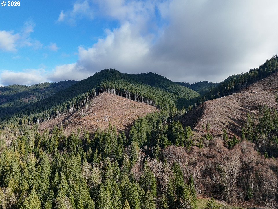 1951 Bear Creek Road Carson, WA 98610 - Photo 7 of 30