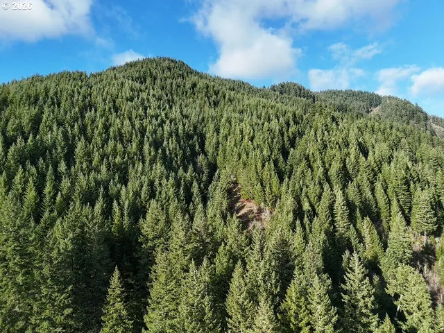 $149,000 | 1951 Bear Creek Road, Carson, WA 98610