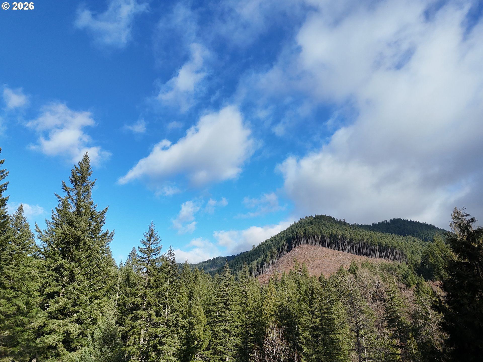 1951 Bear Creek Road Carson, WA 98610 - Photo 9 of 30