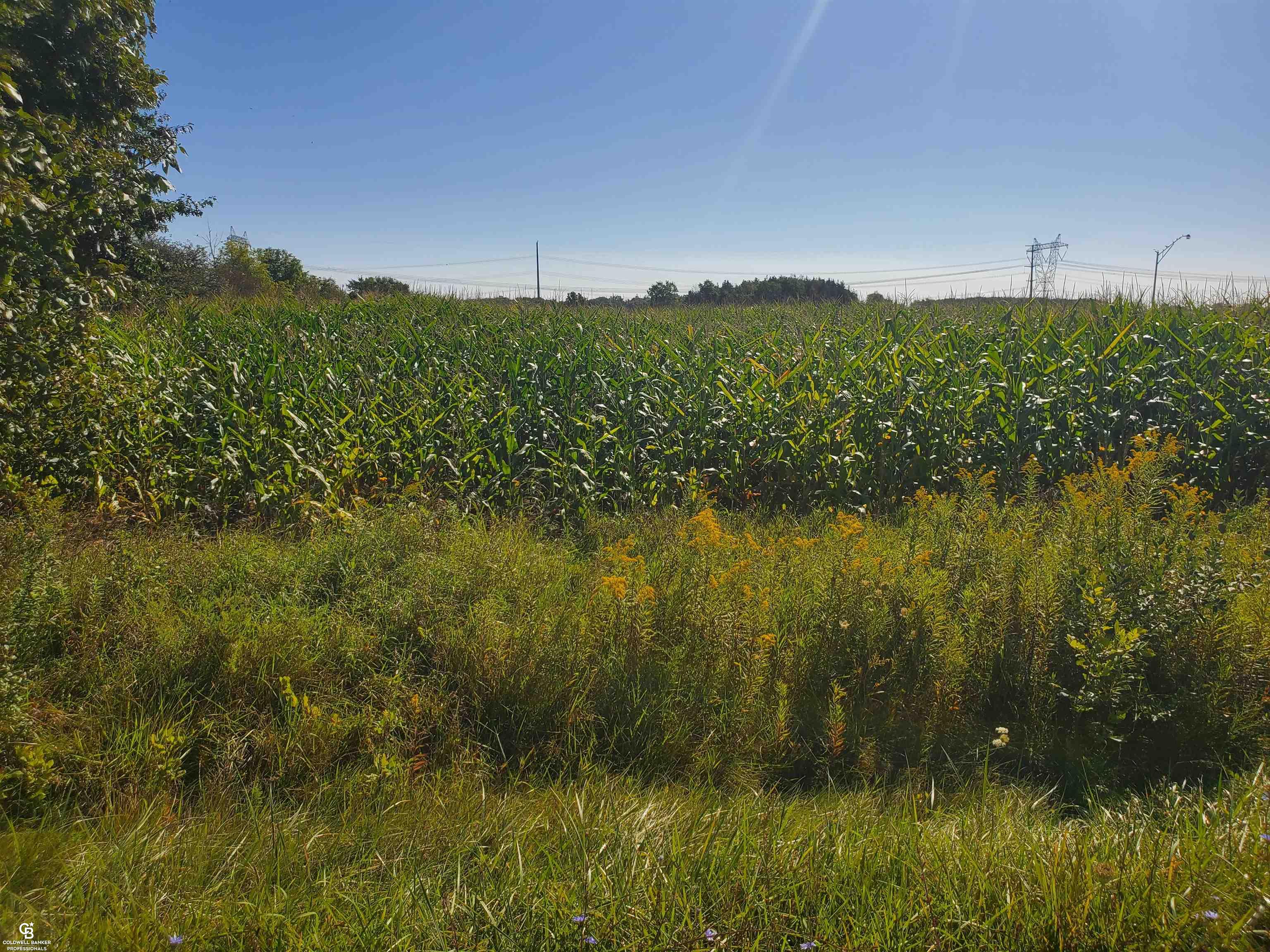 Brown Vl Road Avoca, MI 48006 - Photo 4 of 8