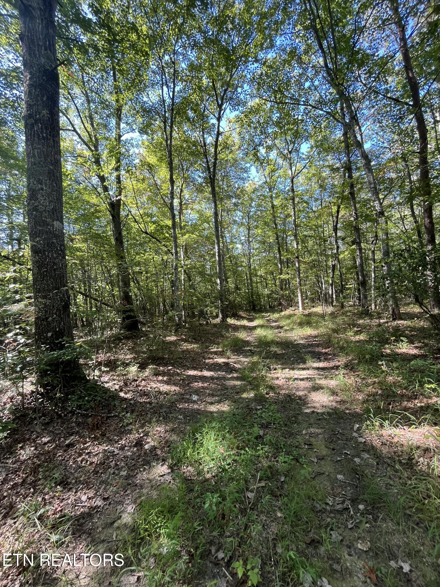 Todd Town Off Sparta, TN 38583 - Photo 11 of 16 IMG_9994