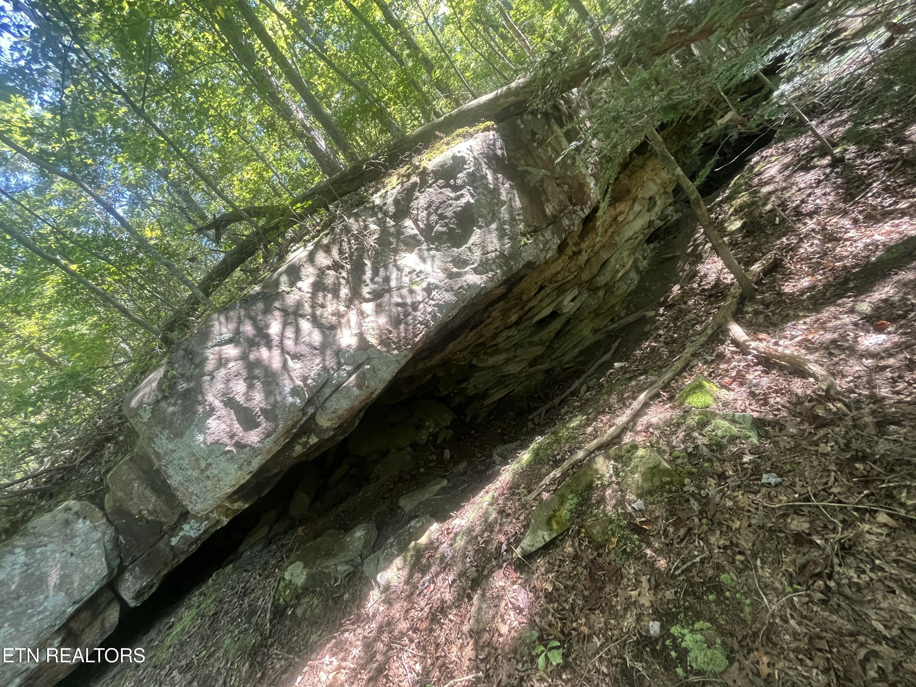 Todd Town Off Sparta, TN 38583 - Photo 12 of 16 IMG_0001