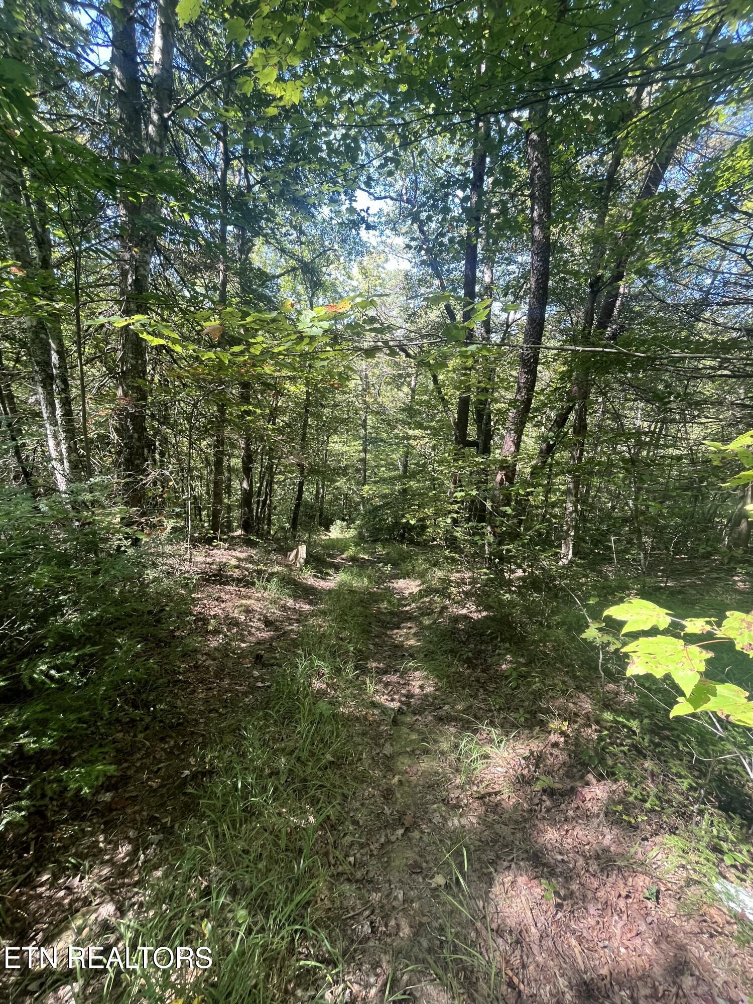 Todd Town Off Sparta, TN 38583 - Photo 13 of 16 IMG_0006