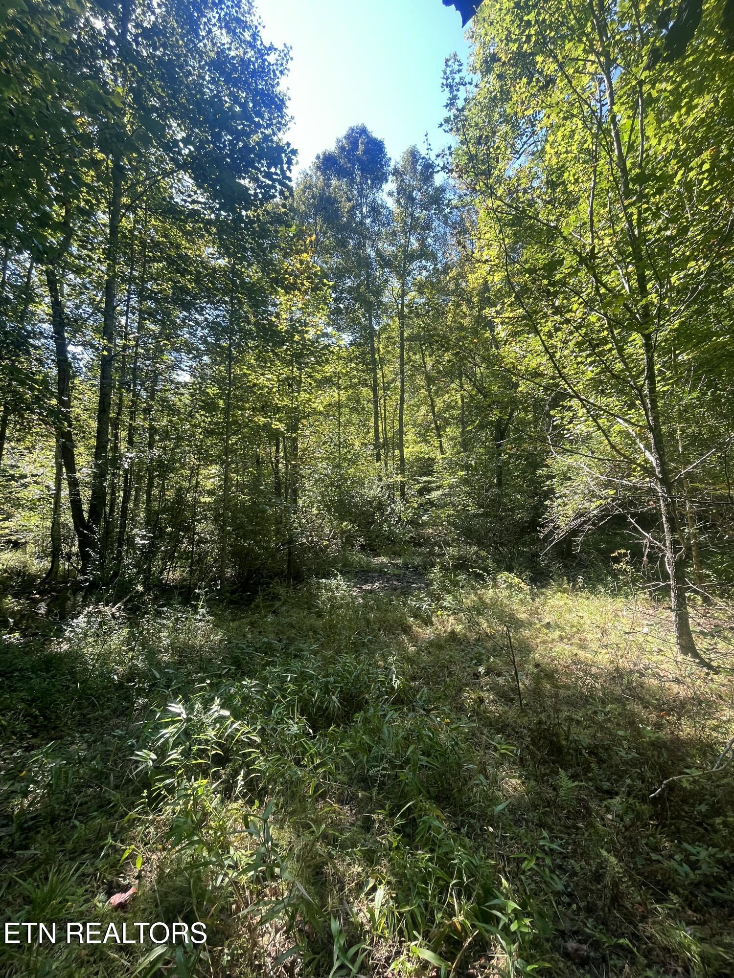 Todd Town Off Sparta, TN 38583 - Photo 14 of 16 IMG_0009