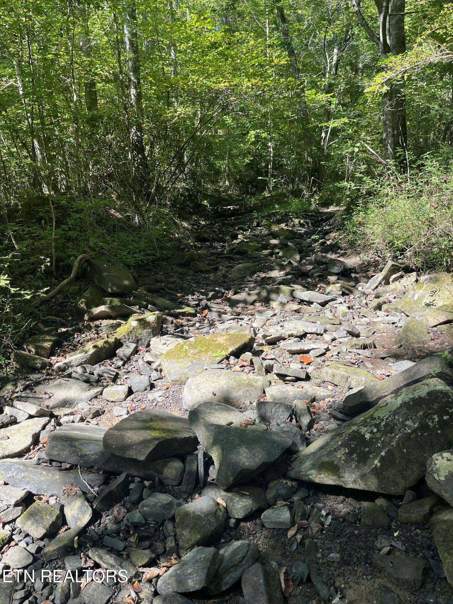 Todd Town Off Sparta, TN 38583 - Photo 16 of 16 IMG_0018