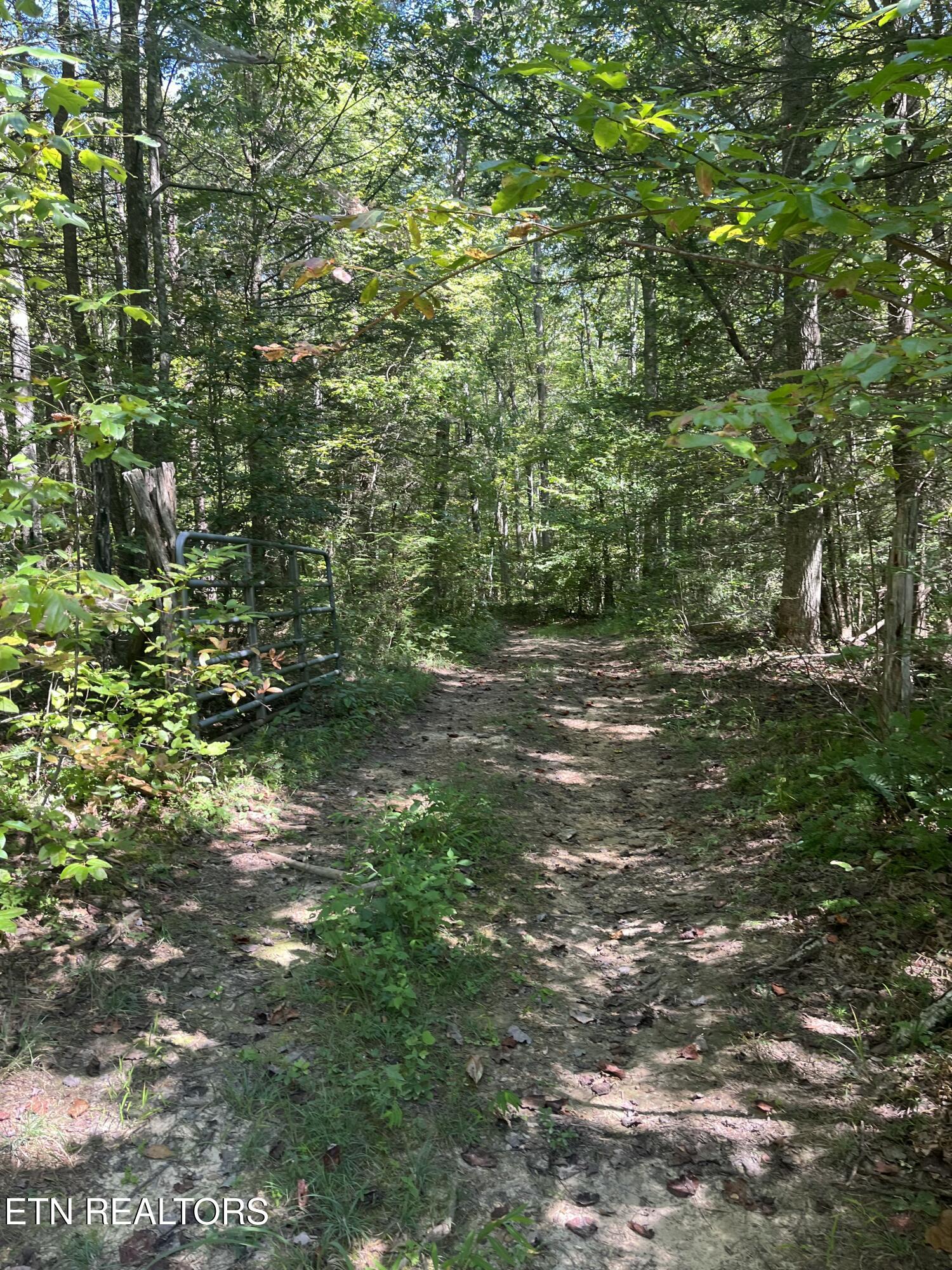 Todd Town Off Sparta, TN 38583 - Photo 3 of 16 IMG_0032