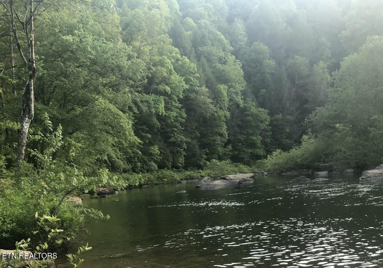 Todd Town Off Sparta, TN 38583 - Photo 6 of 16 IMG_0045