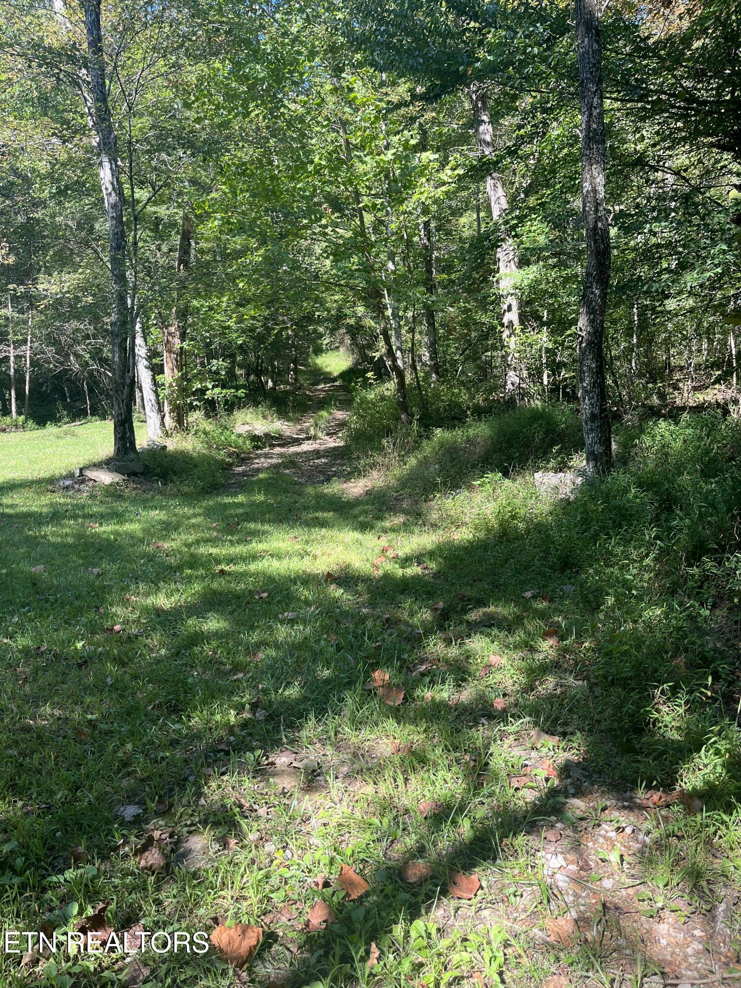 Todd Town Off Sparta, TN 38583 - Photo 7 of 16 IMG_9980