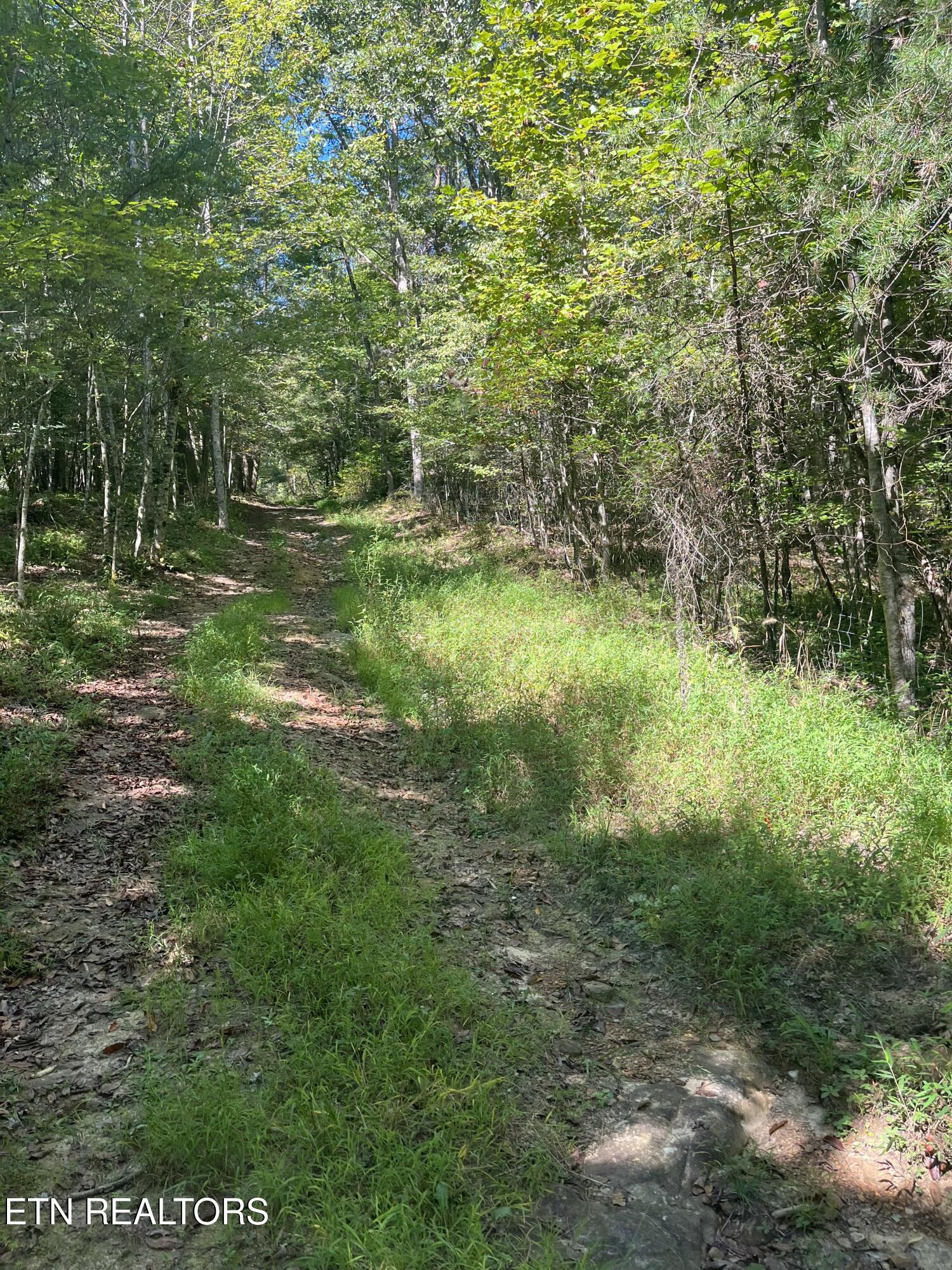 Todd Town Off Sparta, TN 38583 - Photo 8 of 16 IMG_9984