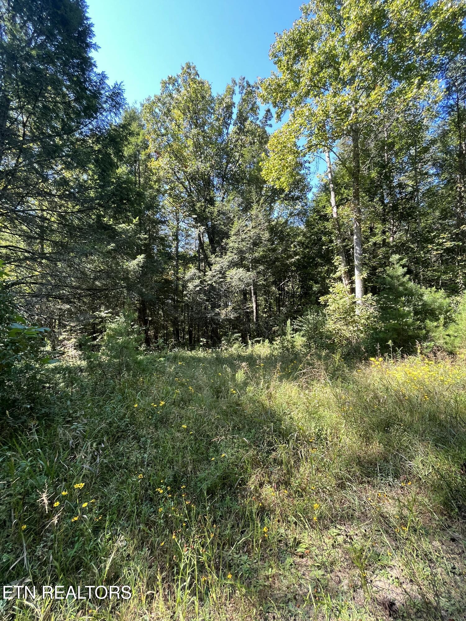 Todd Town Off Sparta, TN 38583 - Photo 9 of 16 IMG_9989