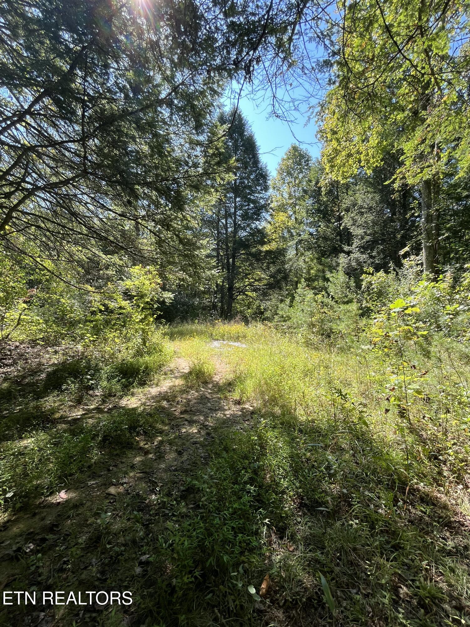 Todd Town Off Sparta, TN 38583 - Photo 10 of 16 IMG_9990