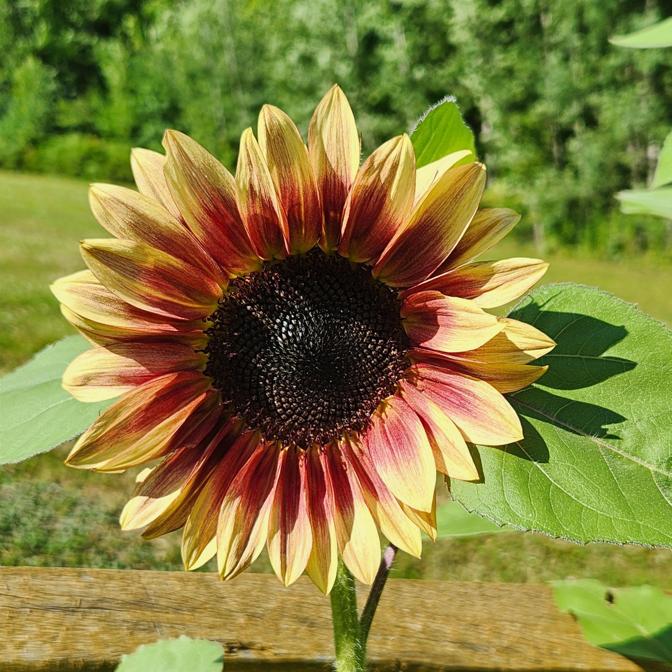 161 Hoit Road Concord, NH 03301 - Photo 48 of 59