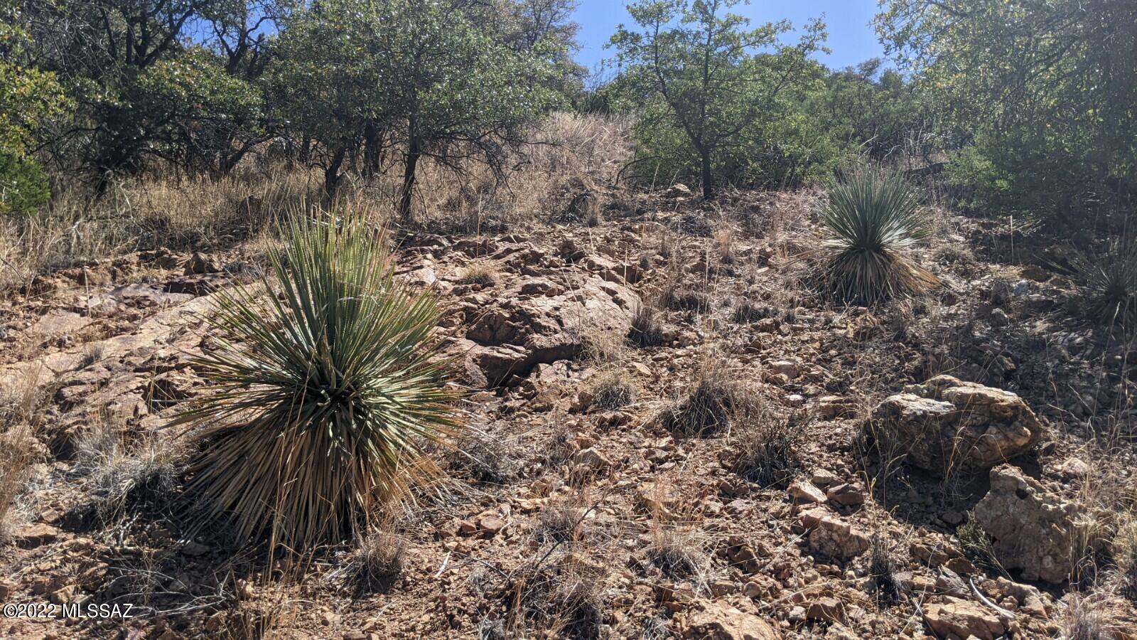 Tbd Adams Avenue, Unit MULTIPL Bisbee, AZ 85603 - Photo 18 of 35