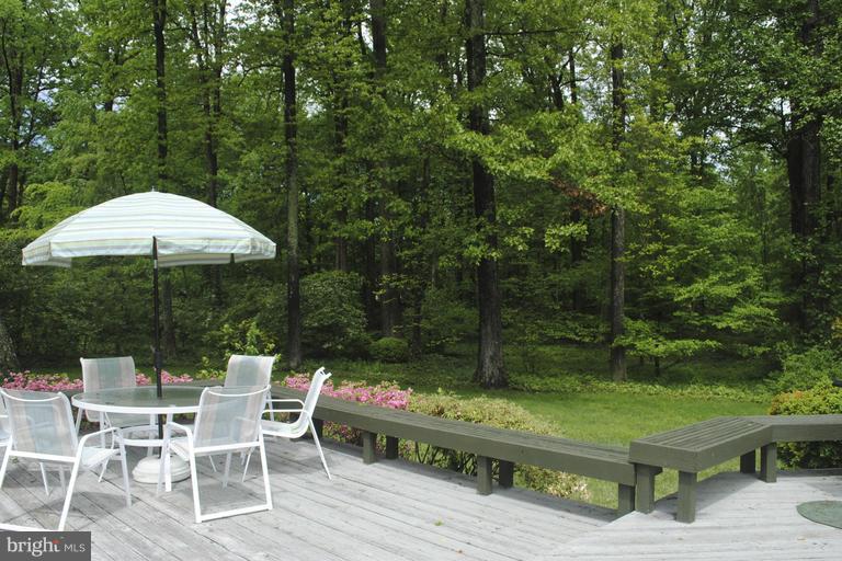 8510 Beech Tree Road Bethesda, MD 20817 - Photo 1 of 1 Spacious Custom Deck in Scenic Setting
