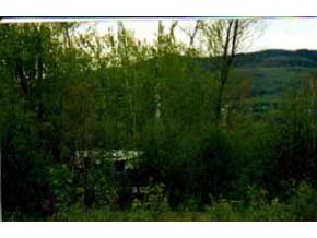 0 Whipple Road Jefferson, NH 03583 - Photo 1 of 1 Gallery Image 1