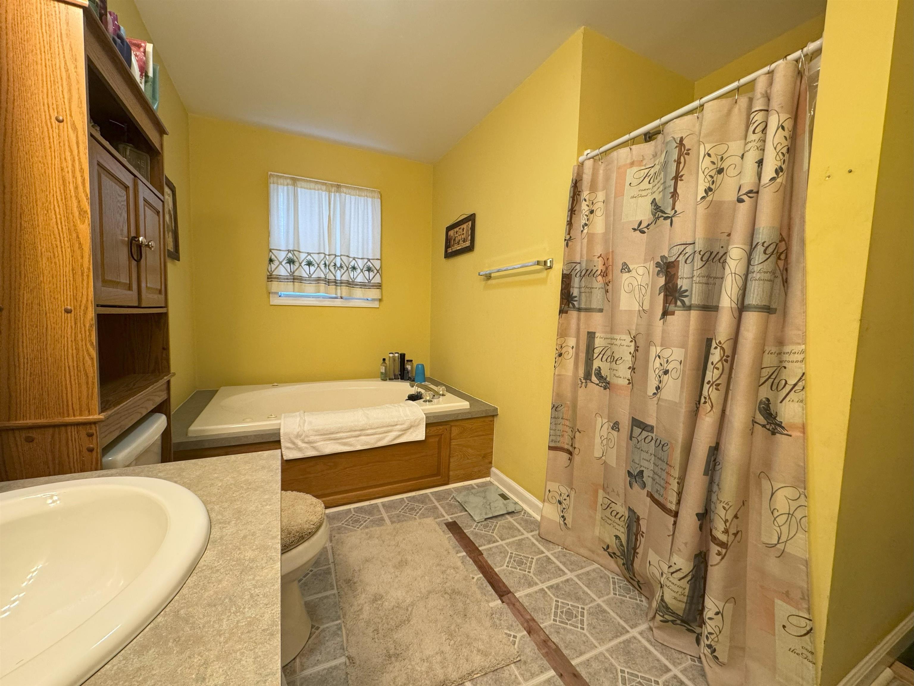 3355 Lyndhurst Road Stuarts Draft, VA 24477 - Photo 29 of 38 a bathroom with a tub shower sink and a sink
