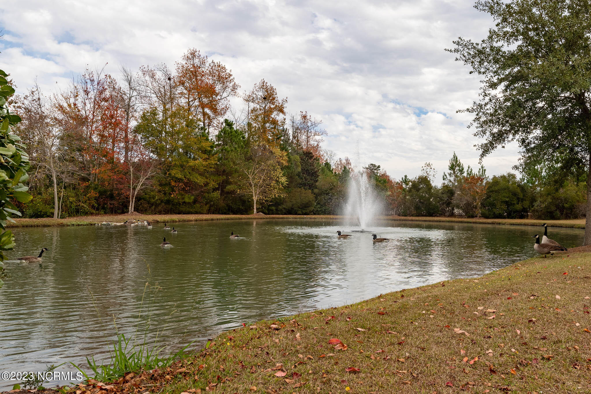 236 Merin Height Road Jacksonville, NC 28546 - Photo 42 of 47 Commuinty fountain/entrance