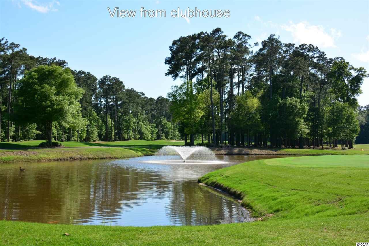 4732 New River Road Murrells Inlet, SC 29576 - Photo 24 of 24 Gallery Image 24