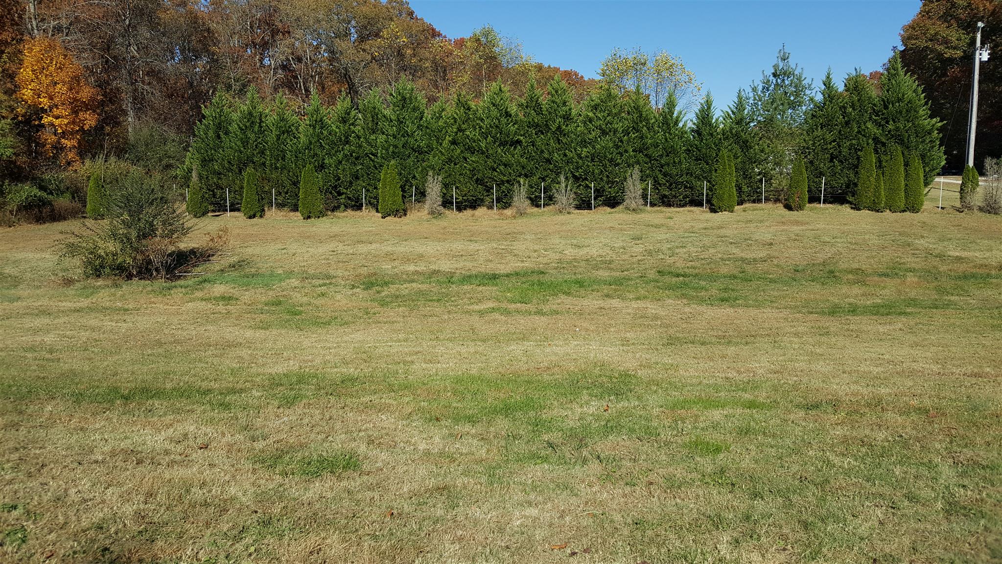 1351 Cinder Path Road Estill Springs, TN 37330 - Photo 24 of 24 Gallery Image 24