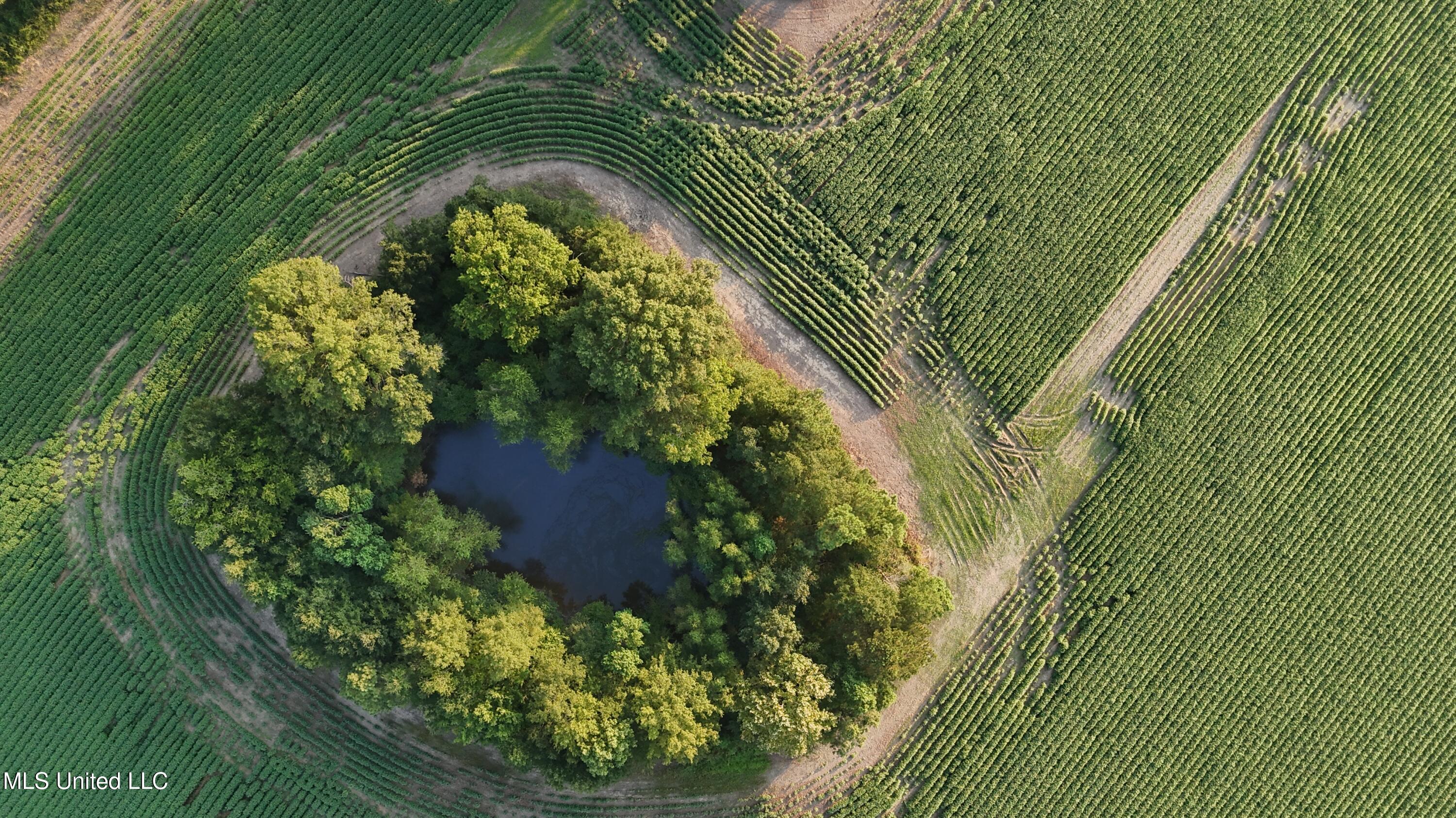 Airport Road Morton, MS 39117 - Photo 2 of 2 dji_fly_20250817_184510_0647_17554784913