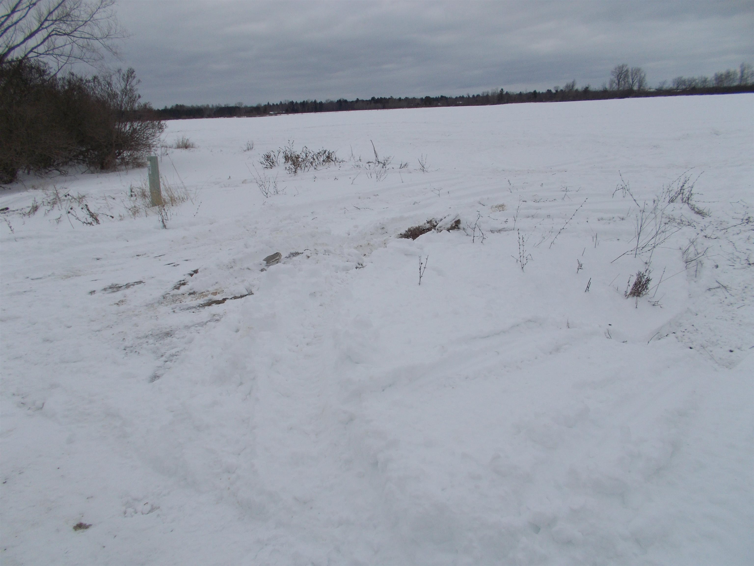 0 East County Line Road Whittemore, MI 48770 - Photo 19 of 22