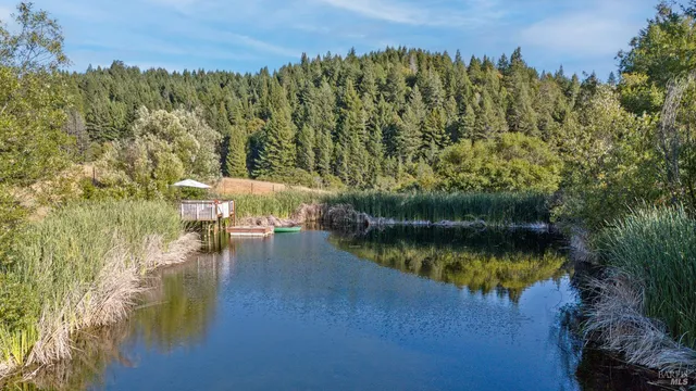 a view of outdoor space with deck and tree