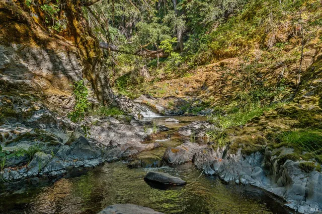 a view of a backyard of a house