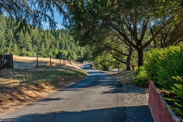 a view of a yard with a tree