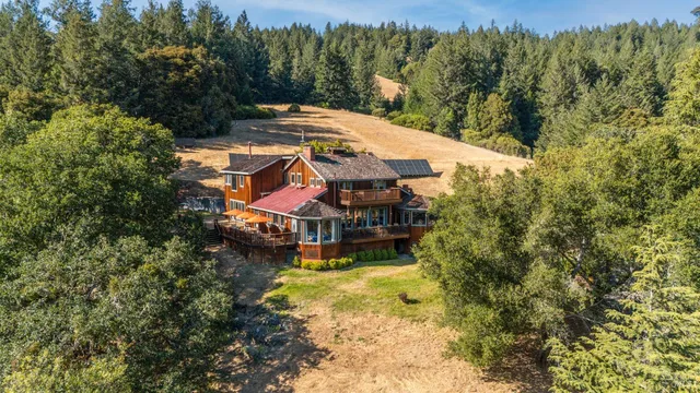 a view of patio with a table and chairs and a large tree