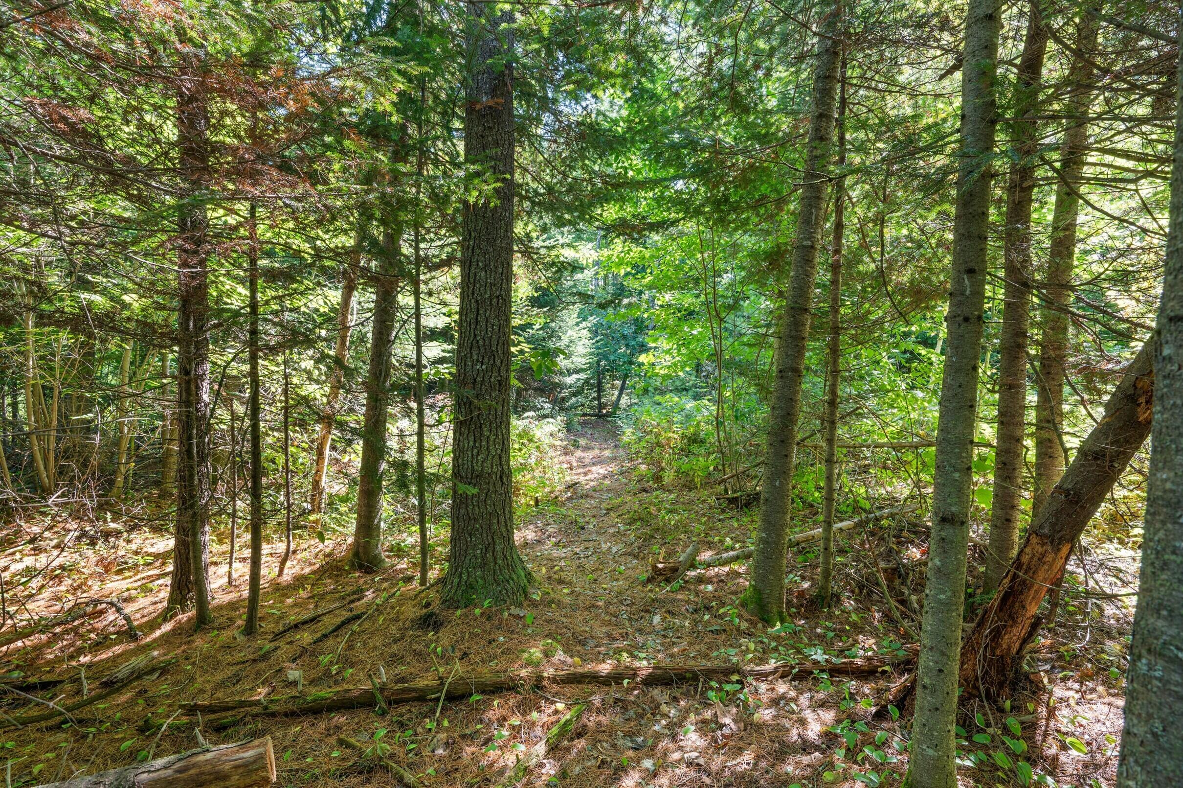 1235 Weeks Mills Road Augusta, ME 04330 - Photo 45 of 52 Private Trail