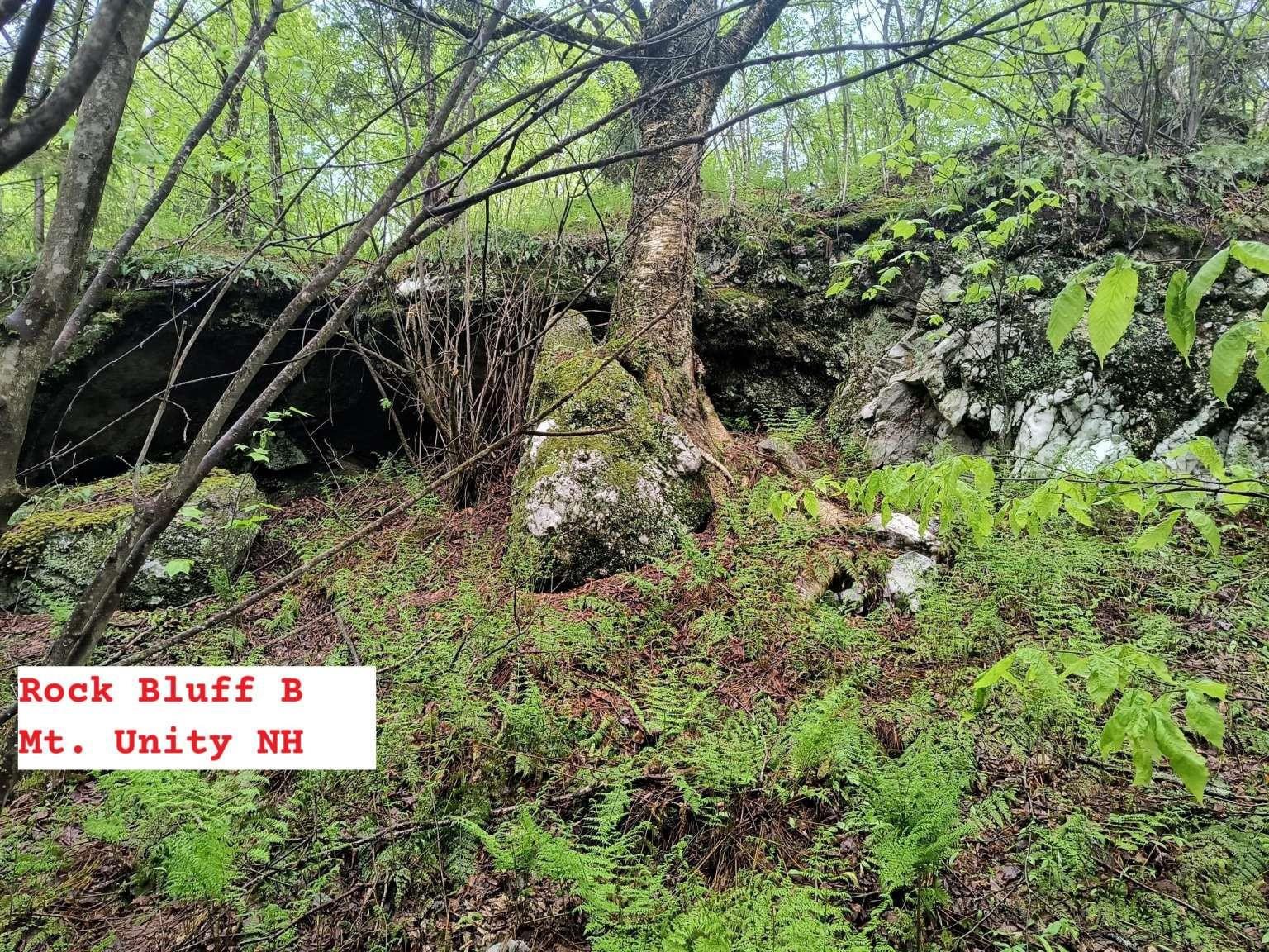 495 Mica Mine Road Claremont, NH 03743 - Photo 29 of 32