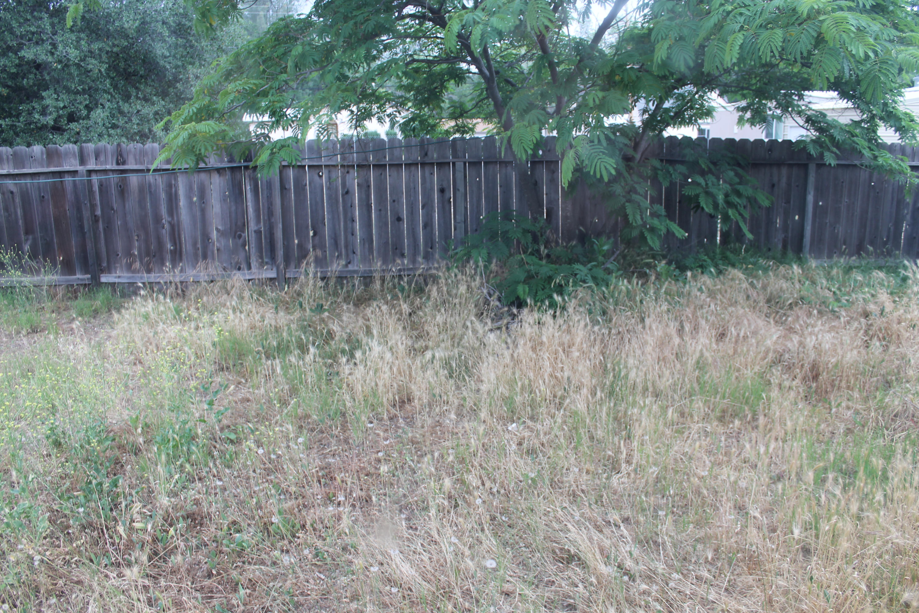 19542-50 Spring Gulch Road Anderson, CA 96007 - Photo 15 of 18 IMG_7297