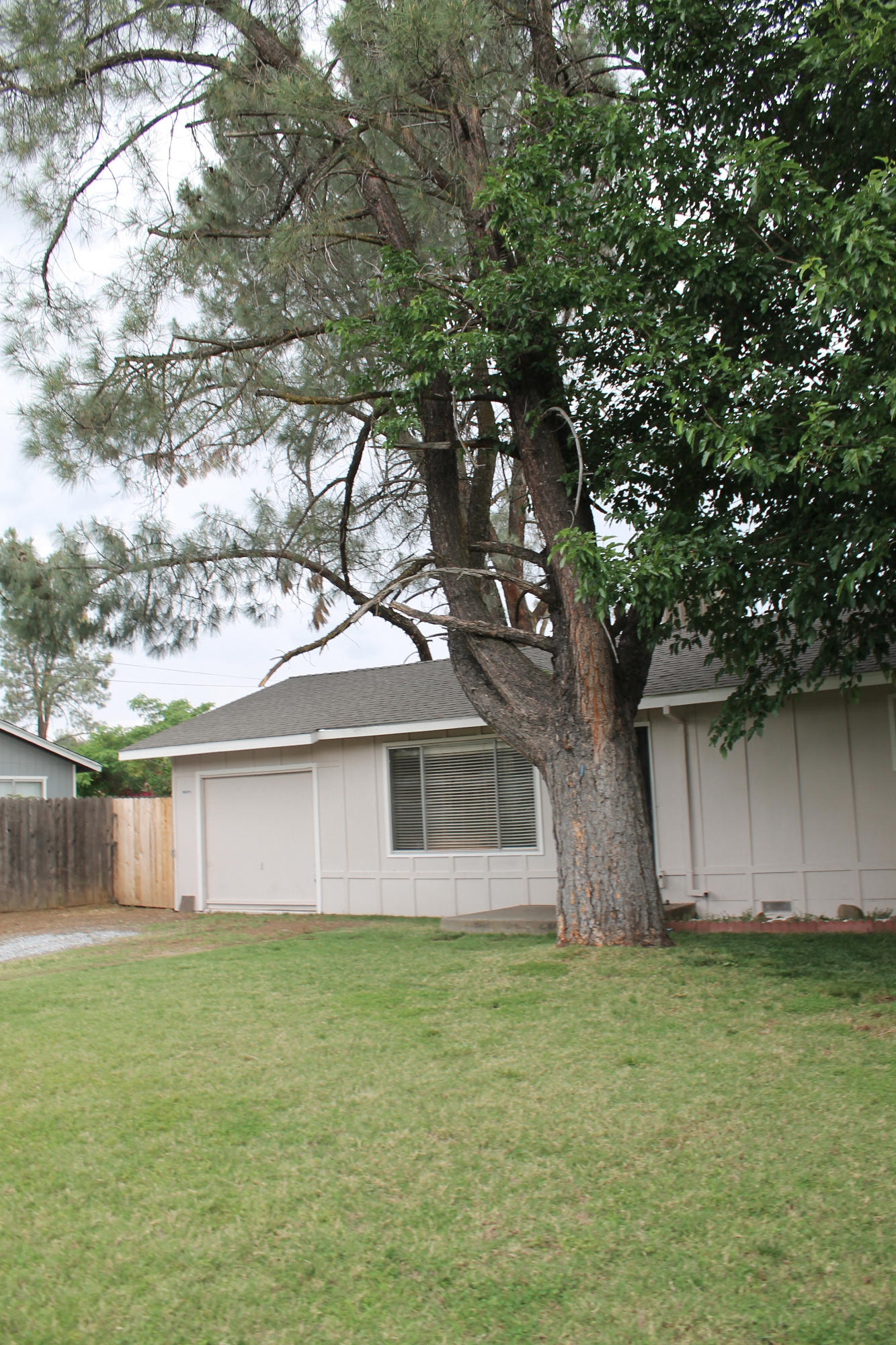 19542-50 Spring Gulch Road Anderson, CA 96007 - Photo 2 of 18 IMG_7282