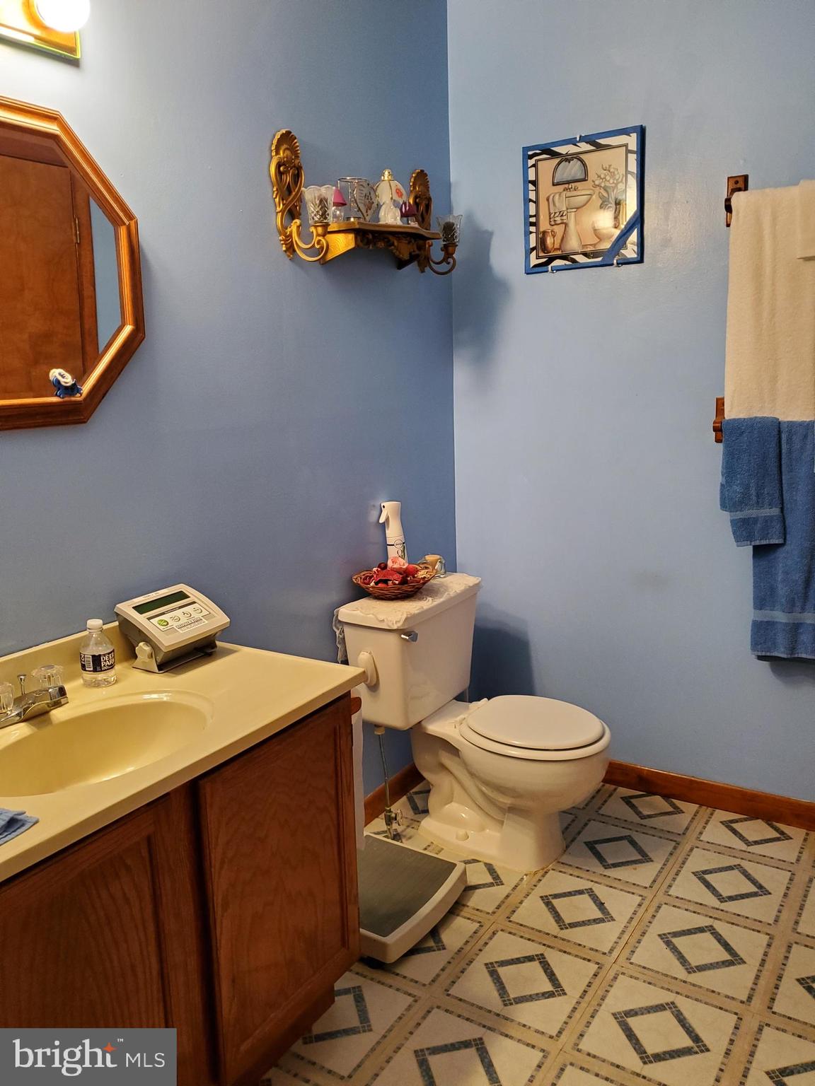 766 1st Street Inwood, WV 25428 - Photo 20 of 24 Hall Bathroom