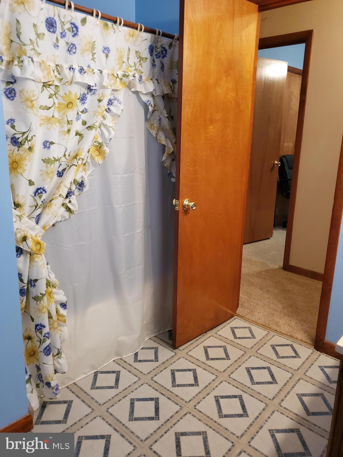 766 1st Street Inwood, WV 25428 - Photo 21 of 24 Hall Bathroom