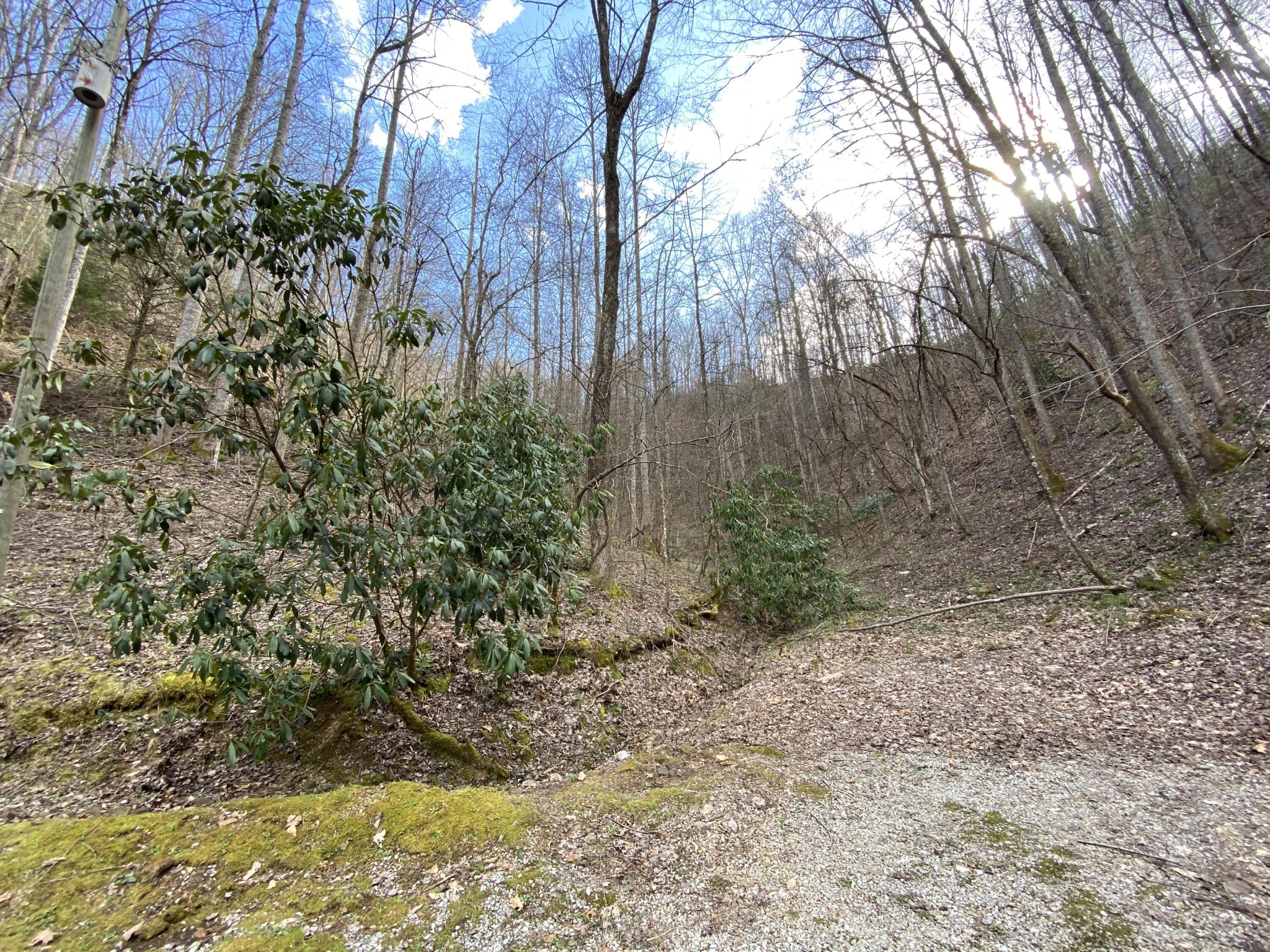 0 South Clear Fork Road Sevierville, TN 37862 - Photo 5 of 22 Gallery Image 5