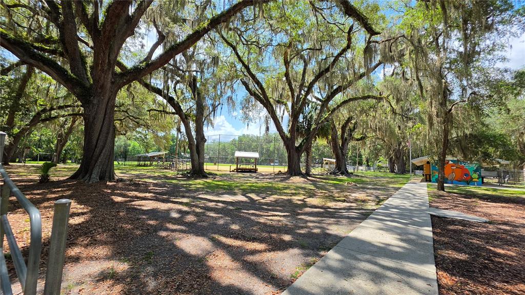 304 Northwest 5 Street Micanopy, FL 32667 - Photo 16 of 17