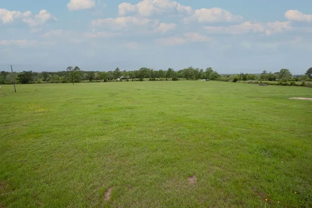 a view of grassy field with mountain