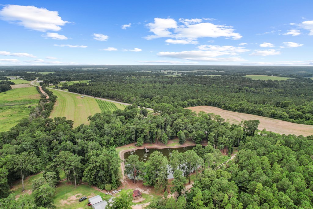 6850 North Co Road Columbia, AL 36319 - Photo 62 of 81
