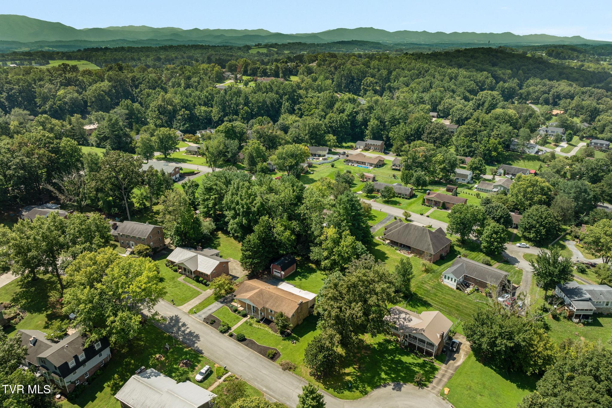 1207 Rambling Court Greeneville, TN 37743 - Photo 72 of 89 DJI_0275