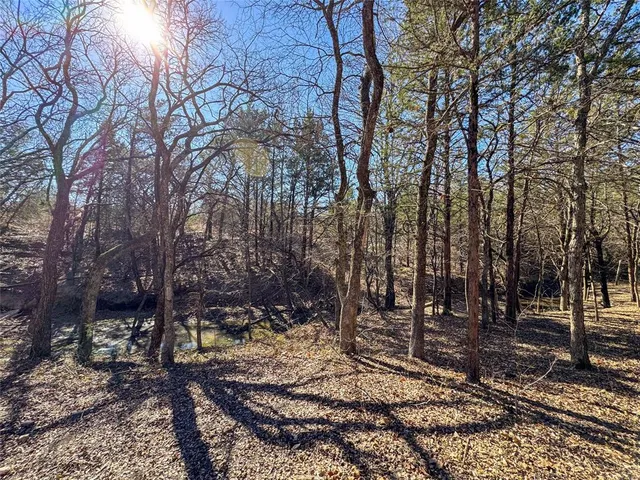 a view of outdoor space with lots of trees