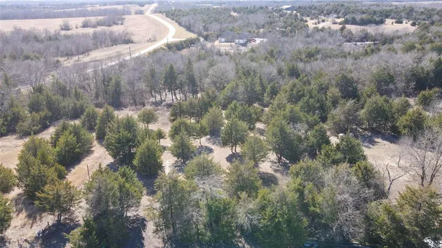 a view of a tree in a yard