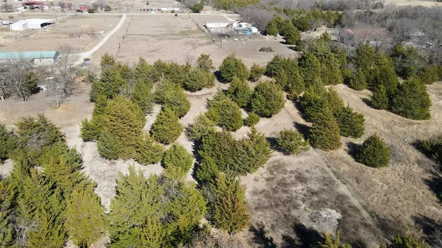 a view of a yard with plants